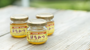 DENSO и устойчивое развитие: проект Honeybee
