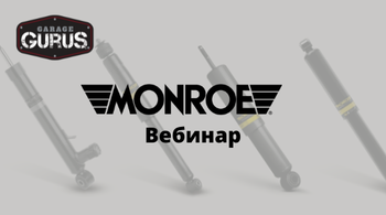 Амортизаторы и пружины подвески Monroe (легковой сегмент)
