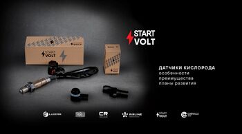 STARTVOLT | Датчики кислорода
