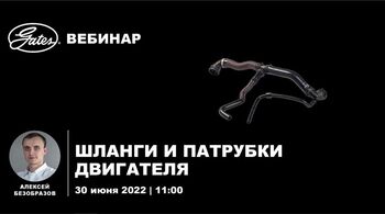 Шланги и патрубки двигателя Шланги и патрубки двигателя