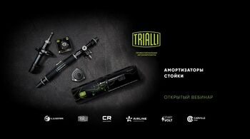 TRIALLI | Амортизаторы