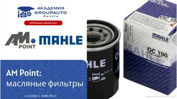 Воркшоп Академии GROUPAUTO с представителем бренда MAHLE