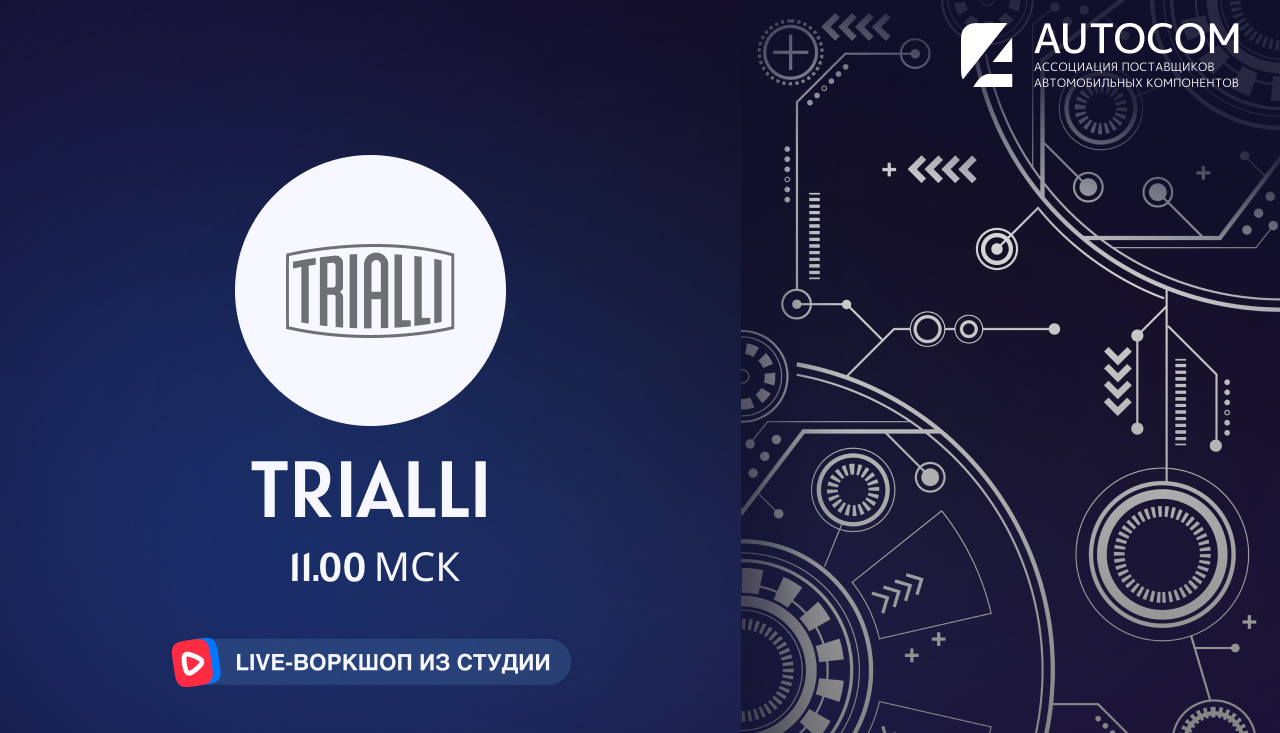 Воркшоп Академии AUTOCOM с представителем бренда TRIALLI 